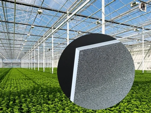 What Factors Affect the Haze of Greenhouse Glass?