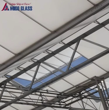 Why Are More Greenhouses Using White Coated Glass for Equipment Rooms?