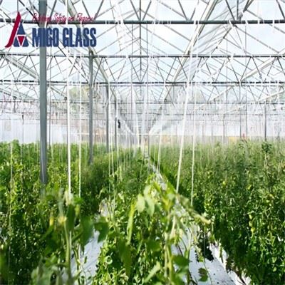 Clear Greenhouse Glass Clear Greenhouse Glass